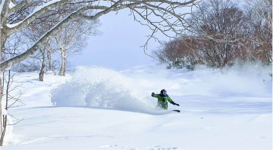 Deep Snow Forest Course